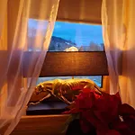 Apartament Góralska *